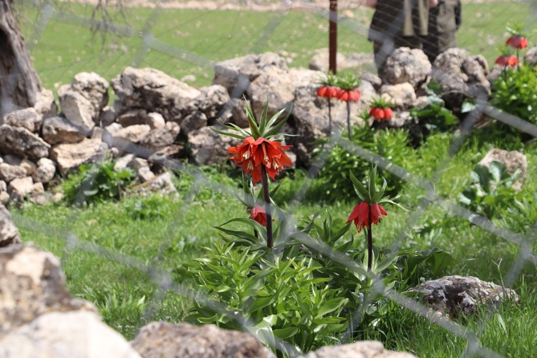 Bu insanlar neye bakıyor? Gece-gündüz nöbet tutuyorlar, ilk kez görenler şaştı kaldı! 11